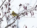 BUITEN BEELD Foto: 112716