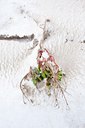 BUITEN BEELD Foto: 112741