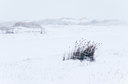 BUITEN BEELD Foto: 112789