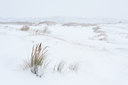 BUITEN BEELD Foto: 112796