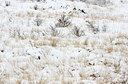 BUITEN BEELD Foto: 112804