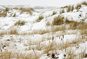 BUITEN BEELD Foto: 112805