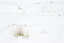 BUITEN BEELD Foto: 112807