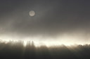 BUITEN BEELD Foto: 112846