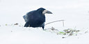 BUITEN BEELD Foto: 112895