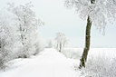 BUITEN BEELD Foto: 112997