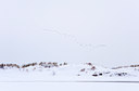 BUITEN BEELD Foto: 113098
