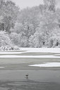 BUITEN BEELD Foto: 113134
