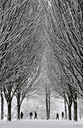 BUITEN BEELD Foto: 113162