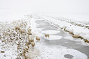 BUITEN BEELD Foto: 113184