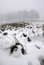 BUITEN BEELD Foto: 113204