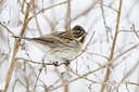 BUITEN BEELD Foto: 113400