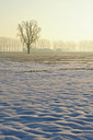 BUITEN BEELD Foto: 113402