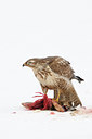 BUITEN BEELD Foto: 113434