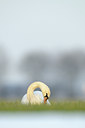 BUITEN BEELD Foto: 113488