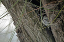 BUITEN BEELD Foto: 113490