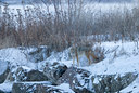 BUITEN BEELD Foto: 113505