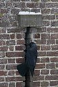 BUITEN BEELD Foto: 113596