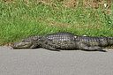BUITEN BEELD Foto: 113623