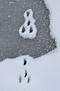 BUITEN BEELD Foto: 113743