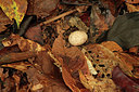 BUITEN BEELD Foto: 113769
