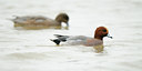 BUITEN BEELD Foto: 113896