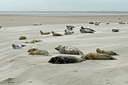 BUITEN BEELD Foto: 114030