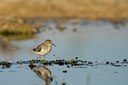 BUITEN BEELD Foto: 114074