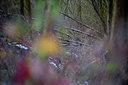 BUITEN BEELD Foto: 114249