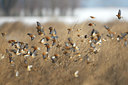 BUITEN BEELD Foto: 114290