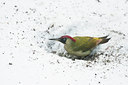 BUITEN BEELD Foto: 114360