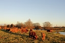 BUITEN BEELD Foto: 114396