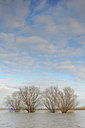 BUITEN BEELD Foto: 114406