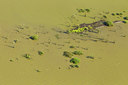 BUITEN BEELD Foto: 114513