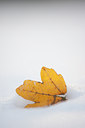 BUITEN BEELD Foto: 114534