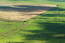 BUITEN BEELD Foto: 114535