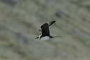 BUITEN BEELD Foto: 114559