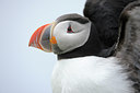 BUITEN BEELD Foto: 114577
