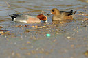BUITEN BEELD Foto: 114637