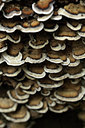 BUITEN BEELD Foto: 114642