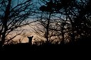 BUITEN BEELD Foto: 114677