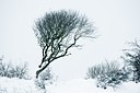BUITEN BEELD Foto: 114685