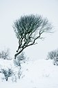 BUITEN BEELD Foto: 114686