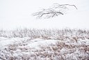 BUITEN BEELD Foto: 114693