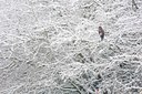 BUITEN BEELD Foto: 114712