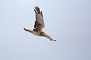 BUITEN BEELD Foto: 114719