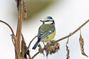 BUITEN BEELD Foto: 114764