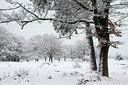 BUITEN BEELD Foto: 114820