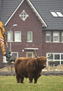 BUITEN BEELD Foto: 114837