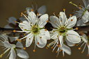 BUITEN BEELD Foto: 114849